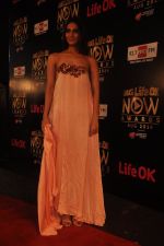 Vaani Kapoor at Life Ok Now Awards in Mumbai on 3rd Aug 2014